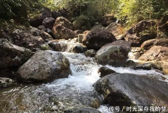 丽水有个隐藏在大山深处的世外桃源,带家人去走走吧