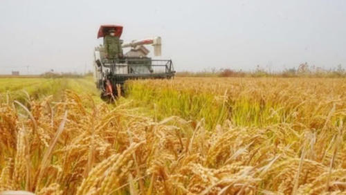  非洲■我国一种机器传到非洲，变成“加速器”，非洲人可感谢中