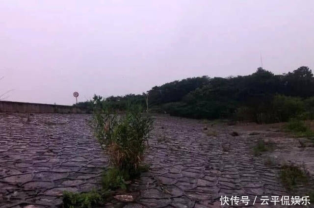 不折不扣:垂钓长江边,不折不扣的当了回“白条杀手”