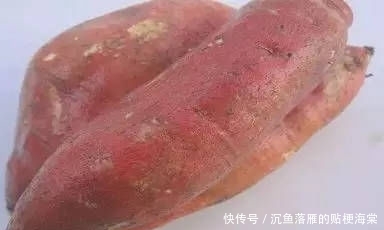 『拒绝』黑坑钓鲤鱼饵料配方，拒绝加入空军营