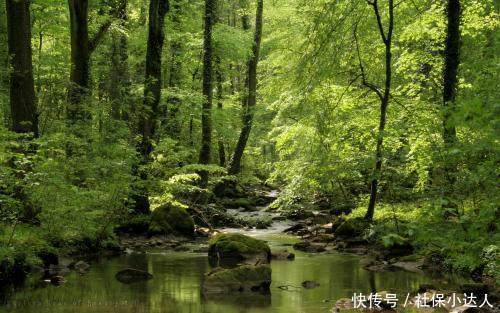 辞职前单位交了5年社保，中断两年后继续缴费，中断的可以补交吗