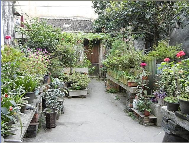 “宁可城里有张床，不愿农村有套房”，自建房真的不如城里房吗？