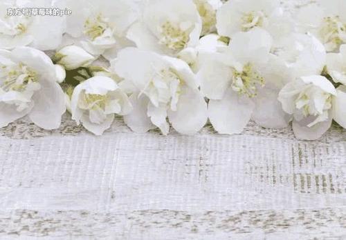 毛孔里的小颗粒怎么都挤不完，只要碰上这3物,搓一搓很快就消失