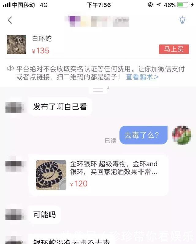 女孩买银环蛇被咬身亡卖家否认卖蛇给她 快递称不知是毒蛇