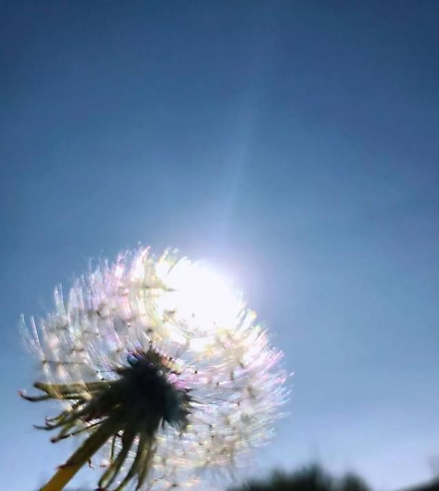 贝壳分享||看完这篇,又多了好多打卡地