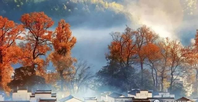 有一种秋色,叫醉美江西