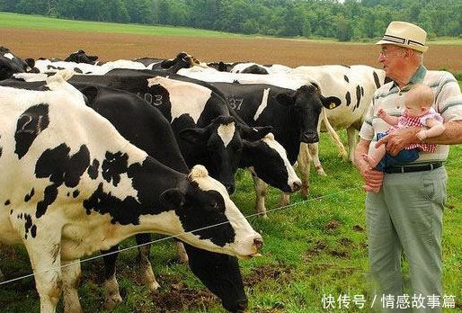 来看看美国的农村，对比中国农村，总算明白中美差距！