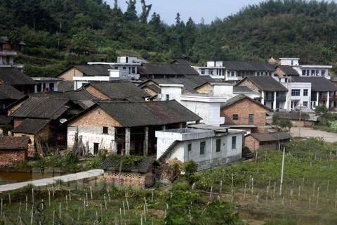  【宅基地】农村宅基地过期怎么办？丢失了如何补办？你知道吗？