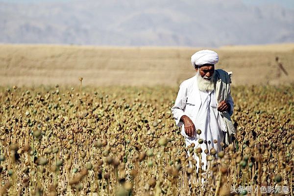 世界上最穷的国家:农民不种植庄稼,为何喜欢种
