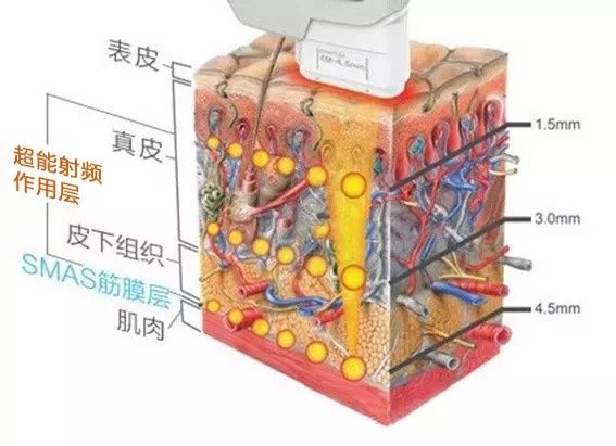 40岁还能演少女,女明星霸屏20几年秘密首次曝光