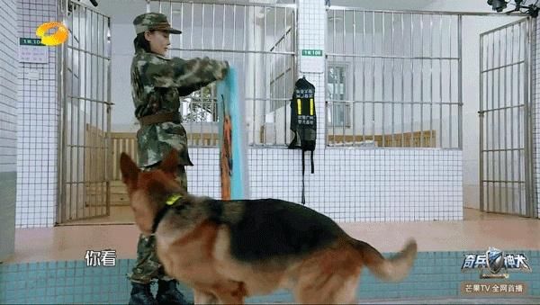 不炒作恋情直接公布婚讯，张馨予又圈粉无数