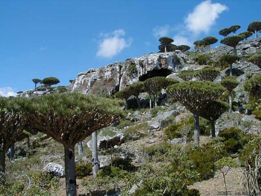 全球最奇葩的岛屿之一，看起来像外星球，岛民平均最少生5个孩子