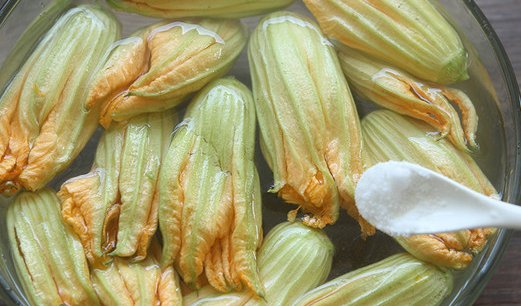 #南瓜花#篱笆上的“小喇叭”，竟有4大“神奇”功效，但有3个注意事项！