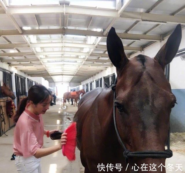 坐实怀孕 叶璇母性大发狂买婴儿衣, 刷爆信用卡遭男友没收