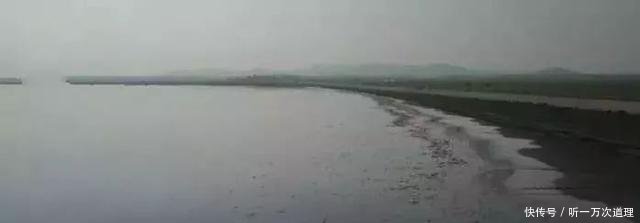 法库县獾子洞水库除了5万斤鱼被“热死”，还有您不知道的秘密！