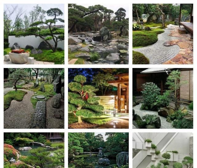  『适合』适合北方庭院栽的花木