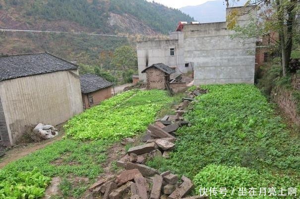 今年,农村的厕所改革将会继续,老年人补贴标准将提高！