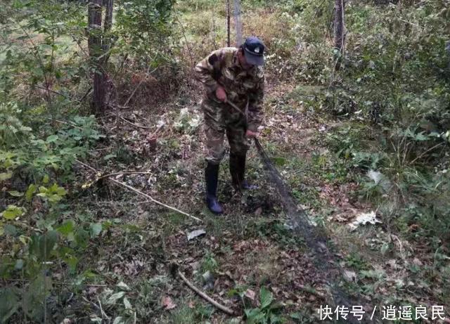  「秸秆」注意了！年底村干部有新任务，这4件事将“严查”，千万