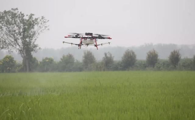 和专家们，算一笔账，种一亩地，到底能赚多少钱?补贴金多吗