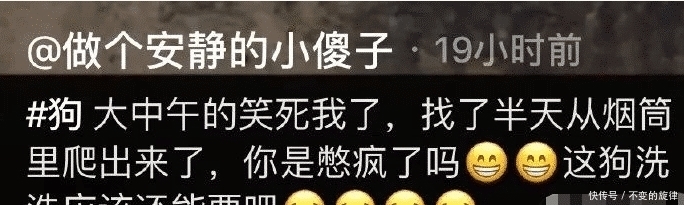 用来:我一直以为这个洞是用来放手指的,直到现在我才发现错了,哈哈哈哈哈哈