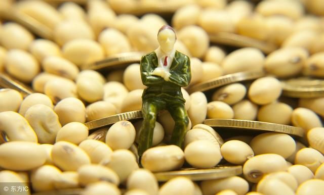 俄罗斯大豆成为市场“新宠”三家中国企业将在俄种豆、榨油！