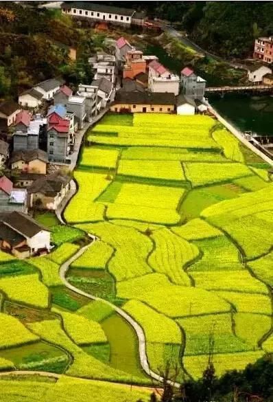 距温州2h的处女小县城，集全了浙江所有令人意外的美景，鲜为人知