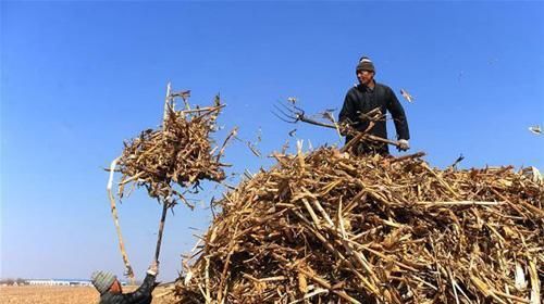  条件：农村三个行业还不晚。各方面条件优秀，创业良好