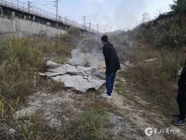  「眼镜蛇」贵州这个村又现眼镜蛇？当地回应：就是上次“逃跑”