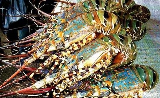 为何非洲人渴死也不挖井，饿死也不种地？老外：真该学学中国人