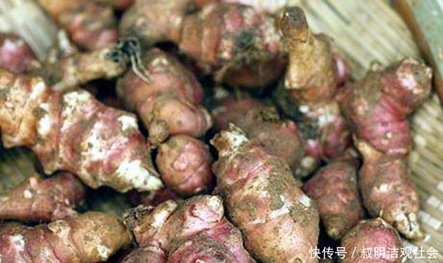  发家致富■农村最烂最贱的菜，制成粉卖40元1公斤，农民靠它发家