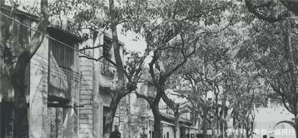  东莞市■老照片, 1980年代的广东东莞市, 今天的广东第四城