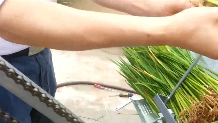  民间|民间牛人发明“手摇式”插秧机，不用油不用电，200元造一