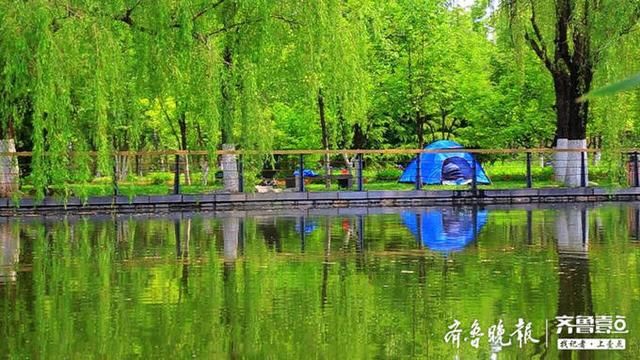  『送给』一场降雨过后，送给济南一个如此美丽的立夏