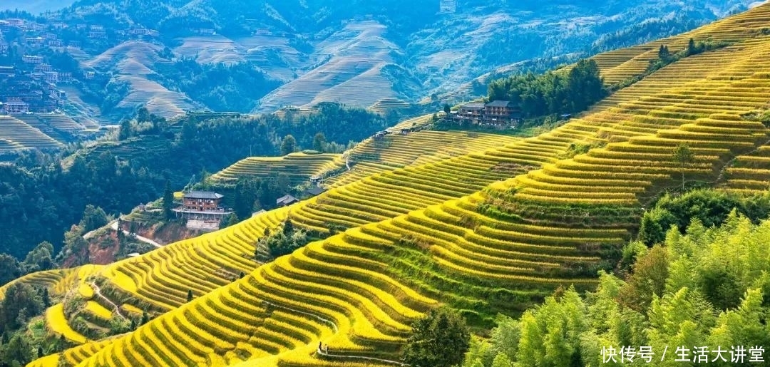 初秋找几个地方去看最美的秋景吧