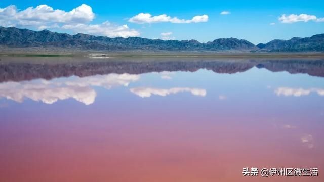  「秀美」天山北麓 秀美新疆伊吾