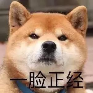 我们都错了,是我们看不懂《如懿传》的时尚,而不是造型师的锅