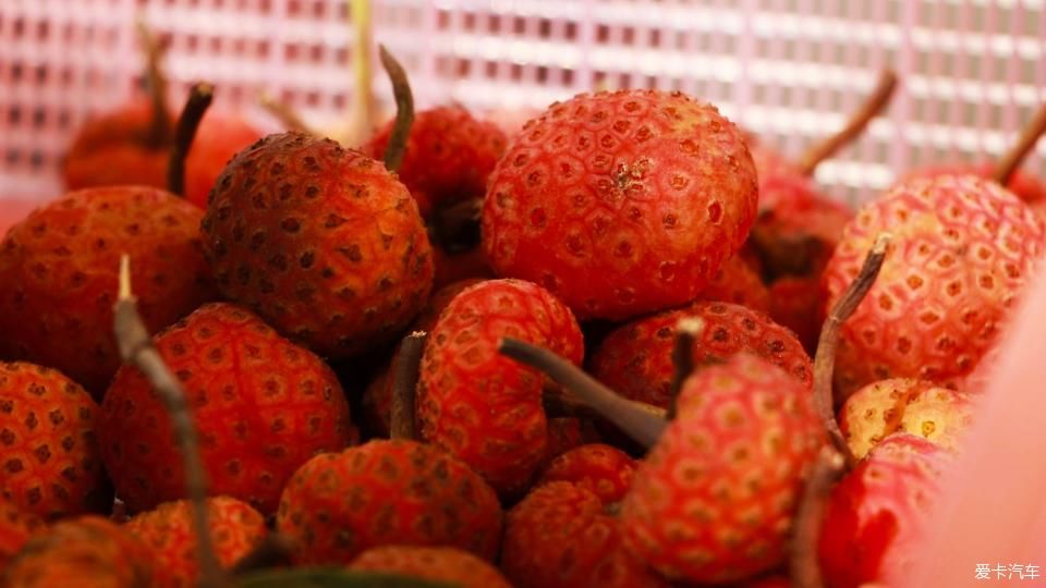 固东银杏村的黄色攻略