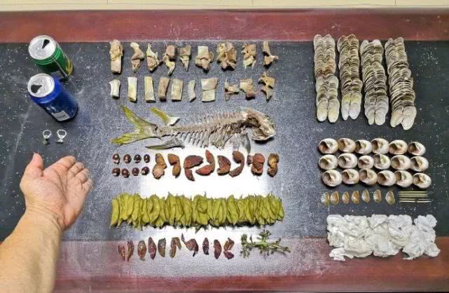 逼疯上海人的“垃圾分类”背后，藏着14亿中国人不知道的残忍真相