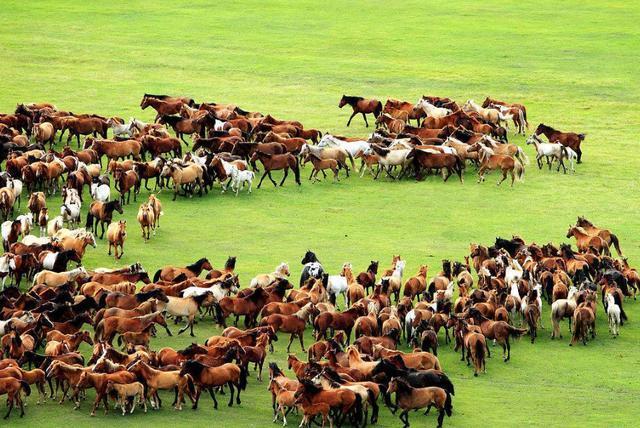  「大连」中国最长的省，不是甘肃省，比大连到海口还要长很多！