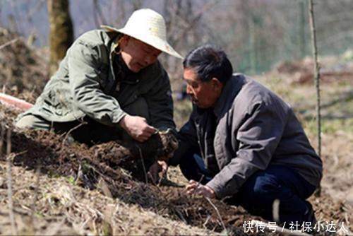 视同缴费年限，会影响养老金的待遇吗？为什么？