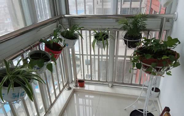  #瞬间#绿植花草这样摆放，阳台瞬间变花园，不仅干净整洁，空间还扩大了