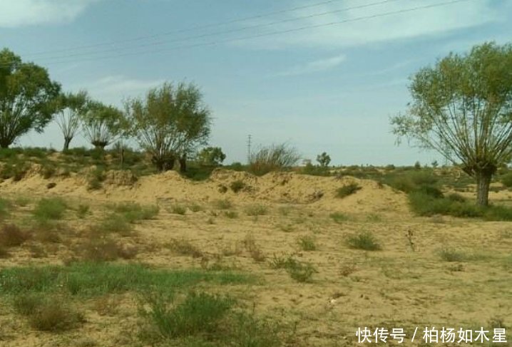 世界上最没面子的沙漠，中国花60年种满绿植，将被彻底消灭