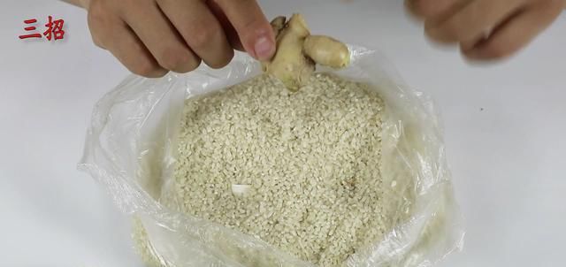  [放在大米里]夏天大米容易生虫？轻松一招，大米再也不生虫了