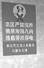 在网上被骂，在小区里被打，竟然还有人要毒我们的狗，为什么现在