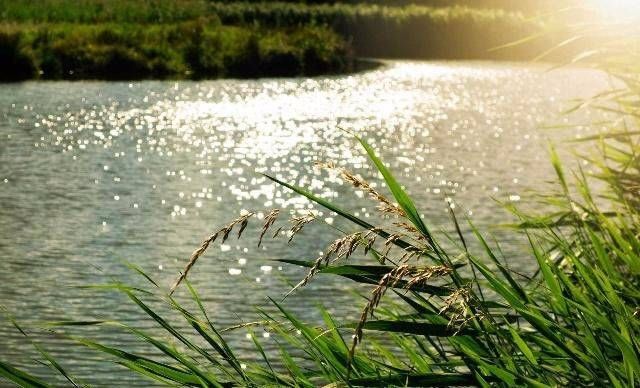 凹进去■野外钓鱼哪些地方算的上是好钓位？