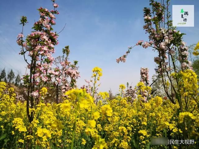  「复兴」映像旅发：春游复兴掠影