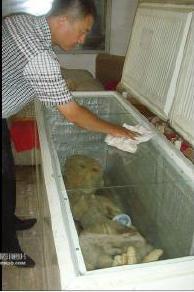 男子电死外星人并藏尸家中冰柜？5年前的闹剧又被“复活”