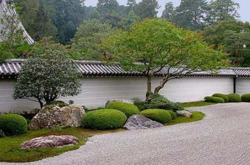  「花园」禅宗花园，一个没有蚊虫的美丽花园！