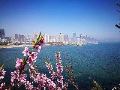  大潮■大连黑石礁自然博物馆——大潮退落看大桥~
