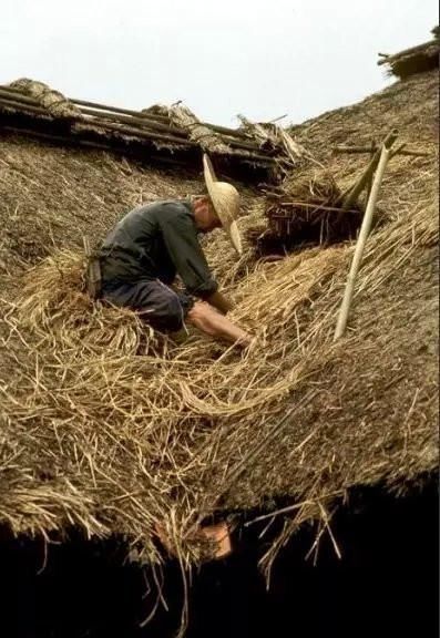  「农村」1987年农村老照片: 图4让人怀念、图5已经没有、图8很熟悉